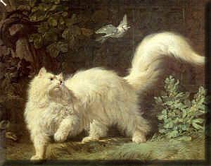 Jean-Jacques Bachelier Un chat Angora oil painting image